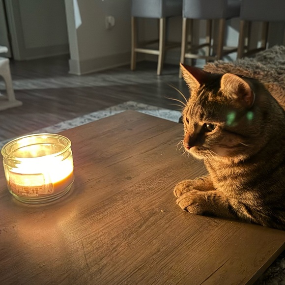 Meet your Posher, Rin - Picture 3 of 3